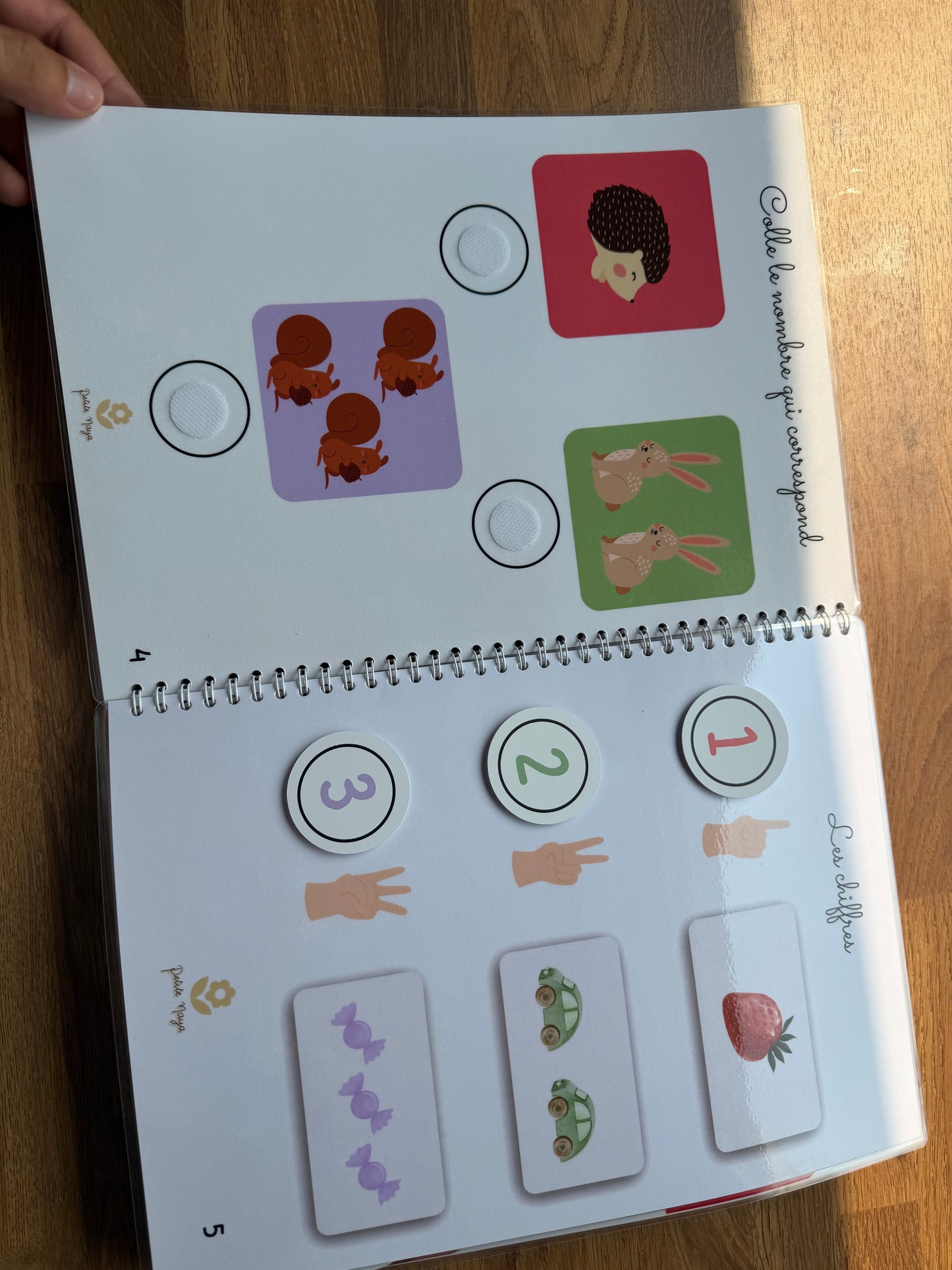 Livret d’activités non personnalisé 2–4 ans – Éveil & apprentissages